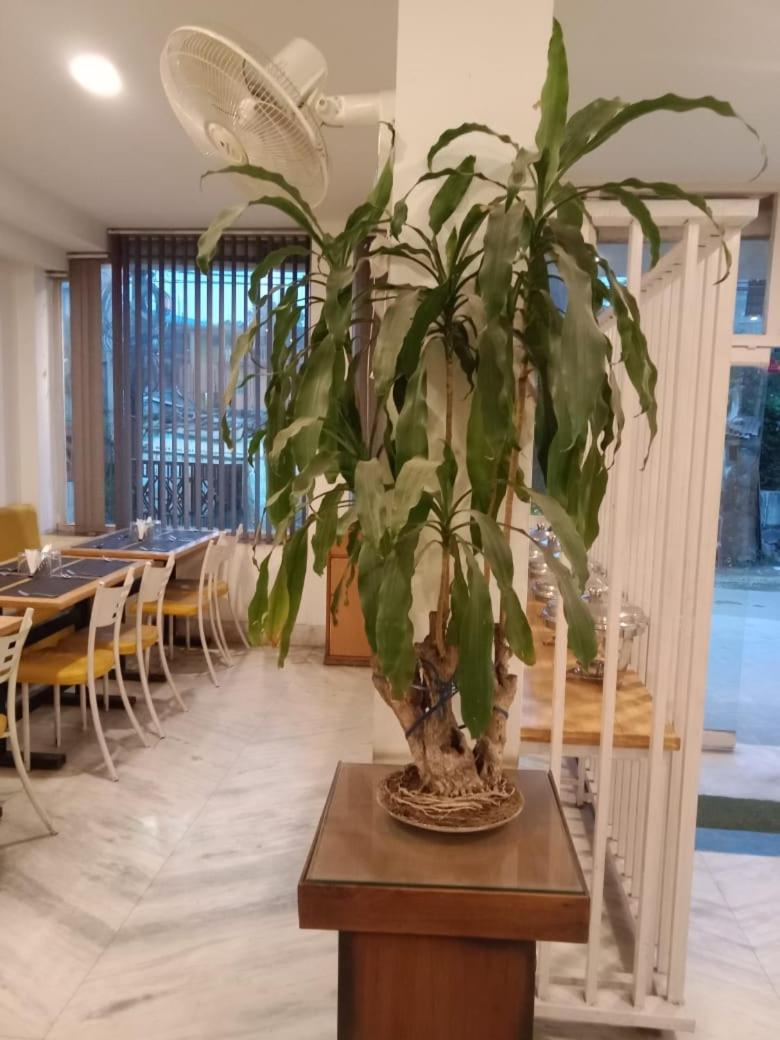 The Maple Hotel Siliguri Exterior foto
